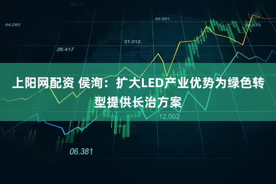 上阳网配资 侯洵:扩大LED产业优势为绿色转型提供长治方案
