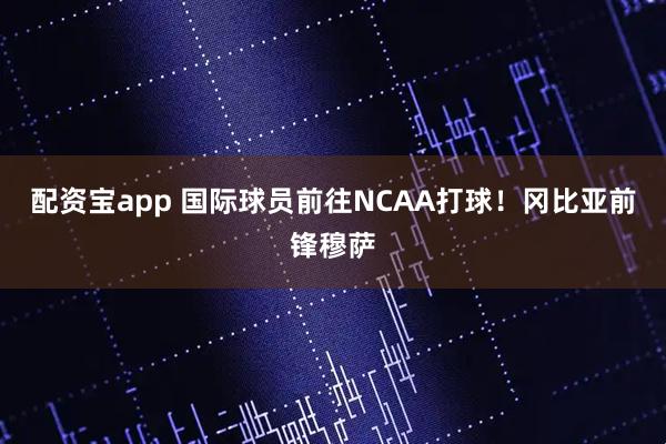 配资宝app 国际球员前往NCAA打球!冈比亚前锋穆萨