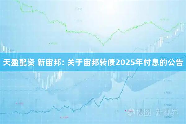 天盈配资 新宙邦: 关于宙邦转债2025年付息的公告