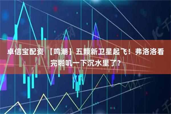 卓信宝配资 【鸣潮】五颗新卫星起飞！弗洛洛看完啪叽一下沉水里了？